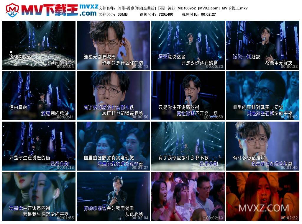 刘维-诱惑的街(金曲捞)_国语_流行_MD100952